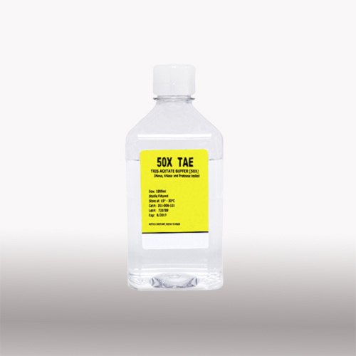 TAE Buffer Tris Acetate EDTA