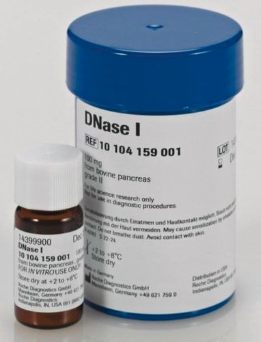 DNase I, 50000 units