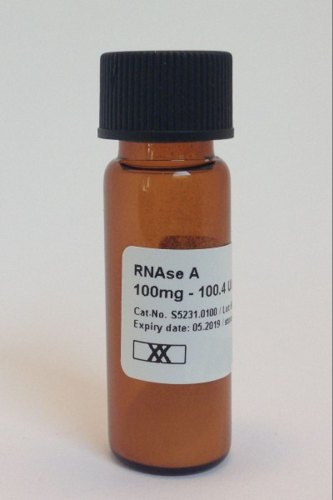 RNAse A/Ribonuclease A