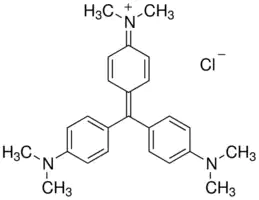 GENTIAN VIOLET (AQUEOUS) Staining Solution