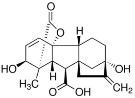 GIBBERELLIC ACID Extra Pure GA3, Gibberellin A3 Plant growth stimulator