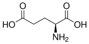 L-GLUTAMIC ACID 99% For Bacteriology (S)-2-Aminopentanedioic acid; Glu Pyrogen free, for bacteriology and tissue culture.