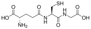 GLUTATHIONE (REDUCED) 99% For Biochemistry -L-Glutamyl-L-cysteinyl-glycine; GSH Biological reducing agent in thiol-dependent enzyme reactions Store at 2-8°C
