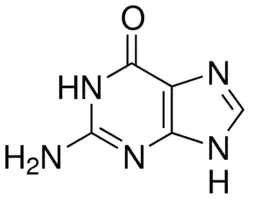 GUANINE 98% For Biochemistry 2-Amino-6-hydroxypurine Store at 2-8°C