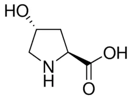 L-HYDROXYPROLINE 99% For Synthesis 4-Hydroxypyrrolidin-2-carbonsäure