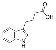 INDOLE-3-BUTYRIC ACID 99% For Biochemistry 4-(3-Indolyl)butyric acid, 4-(3-Indolyl)butanoic acid; IBA Plant growth hormone.