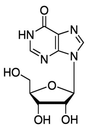 INOSINE 99% For Biochemistry (-)-Inosine; Hypoxanthine 9-ß-D-ribofuranoside