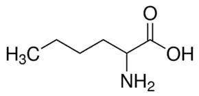 DL-nor-LEUCINE 99+% For Biochemistry (±)-Amino-4-methylpentanoic acid