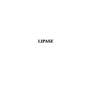 LIPASE from Aspergillus niger Triacylglycerol lipase; Lipase AP6 (Store at 2-8°C)