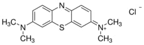 METHYLENE BLUE SOLUTION For Microscopy 0.5% solution