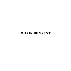 MORIN REAGENT (Reagent for Al)