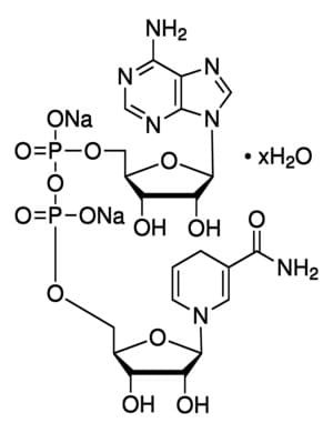 NICOTINAMIDE ADENINE DINUCLEOTIDE REDUCED DISODIUM 97% For Biochemistry NADH, DPNH Store at 2-8°C