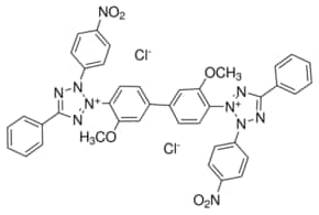 NITRO B.T. 98% AR Nitro blue tetrazolium chloride Store at 2-8°C Nitro blue tetrazolium is used in conjunction with the alkaline phosphatase substrate 5- Bromo-4-Chloro-3-Indolyl Phosphate Tablets in immunoblotting & immuno- histological staining procedures.