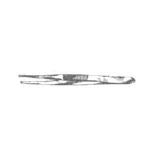 Long Forcep Stainless Steel- 12"
