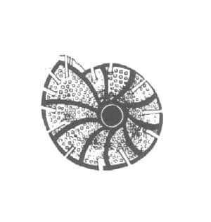 Foraminifera shell (mixed)