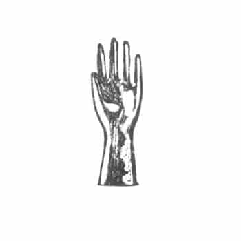 Hand Gloves- Surgical Translucent