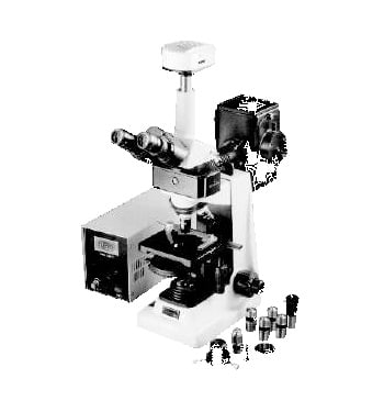Craft’s Fluorescence Microscope (Imported-FLUREX)